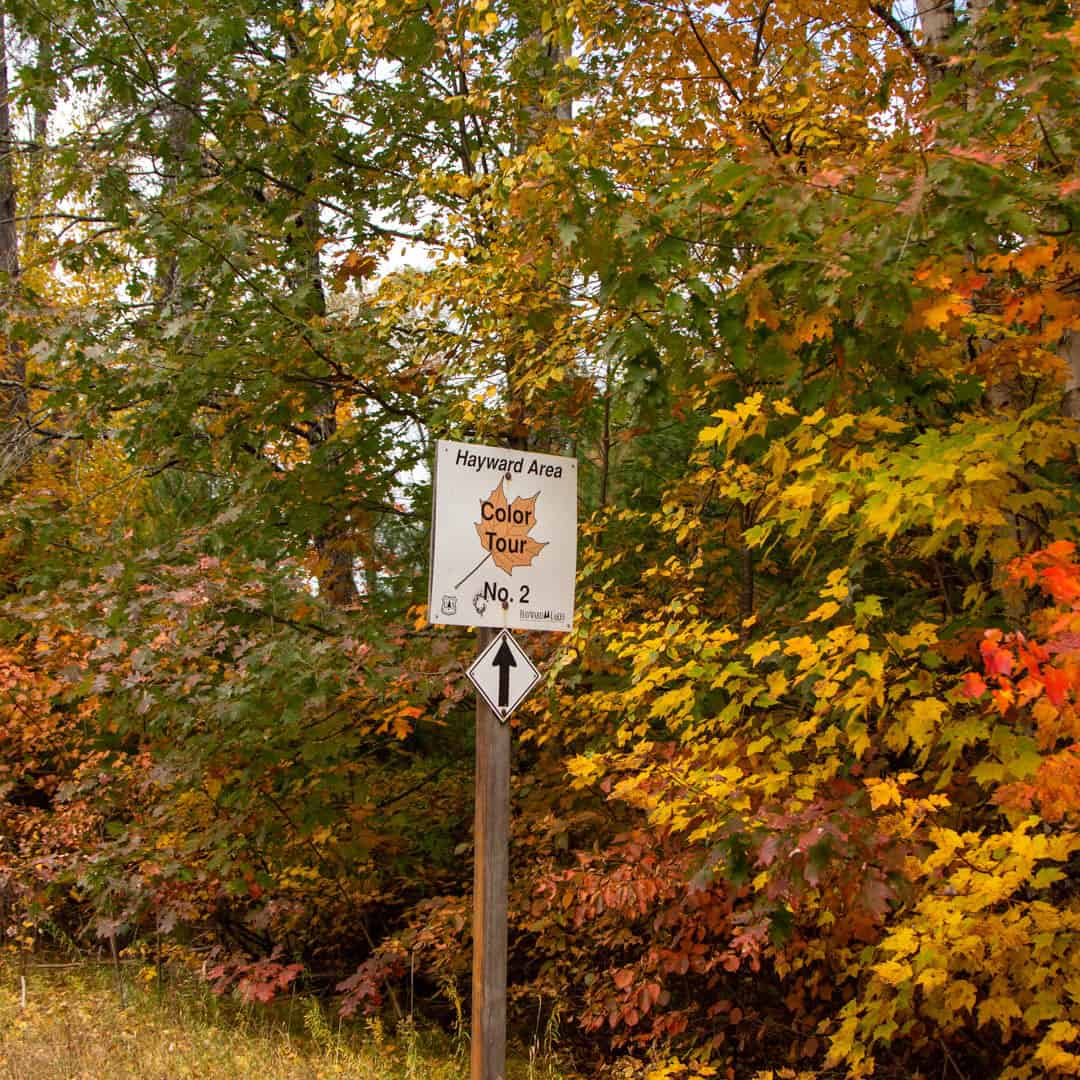 Fall Family Fun in the Hayward Lakes Area